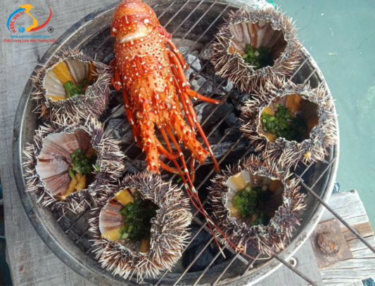 TOUR ĐẢO PHÚ QUÝ - HÒN TRANH 3N3Đ