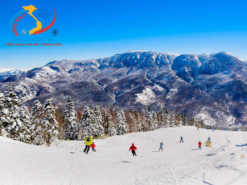 TOUR NHẬT BẢN - TRƯỢT TUYẾT VÀ NGẮM HOA MƠ - TẾT NGUYÊN ĐÁN 2026