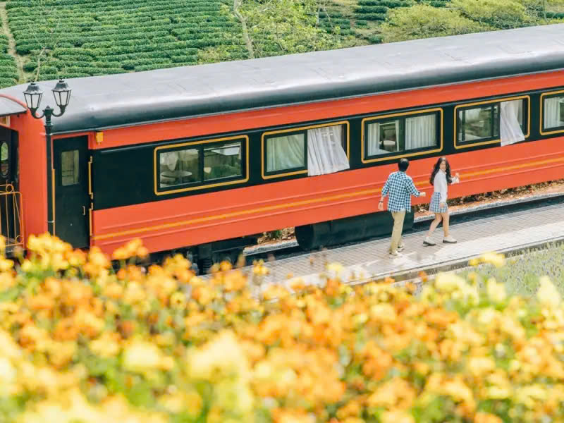 TOUR ĐÀ LẠT - THÀNH PHỐ NGÀN HOA