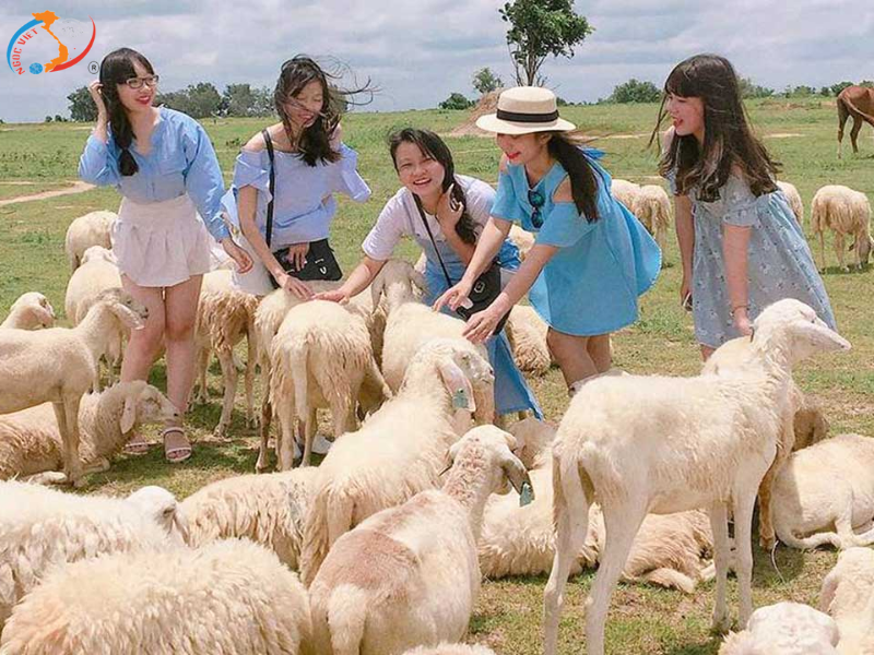 HỒ TRÀM – CẦU TÌNH YÊU ĐỎ