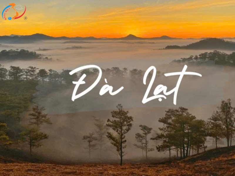 TOUR ĐÀ LẠT - THÀNH PHỐ NGÀN HOA - BESTSELLER