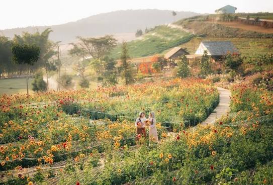 TOUR NHA TRANG - ĐÀ LẠT