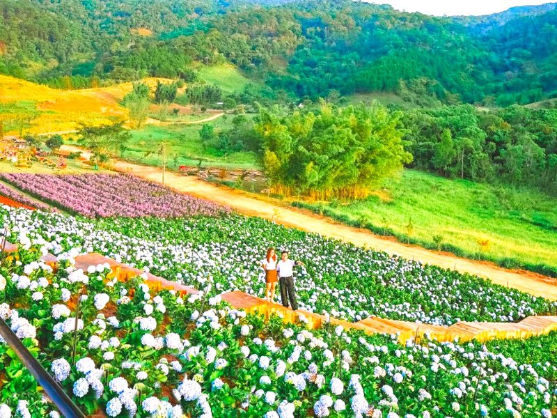 TOUR NHA TRANG - ĐÀ LẠT